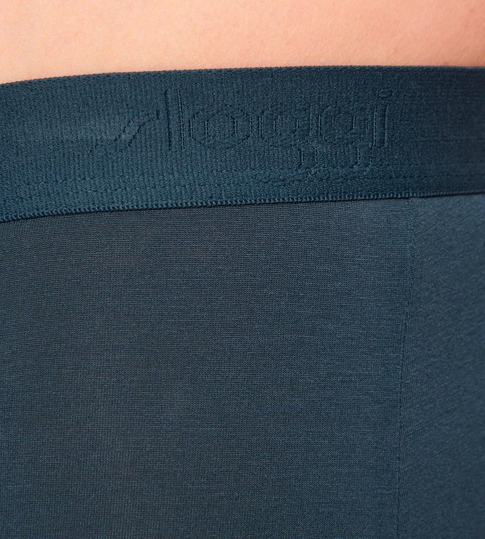 Sloggi Ever Soft Shorts Secret Lagoon | 16450-JALC