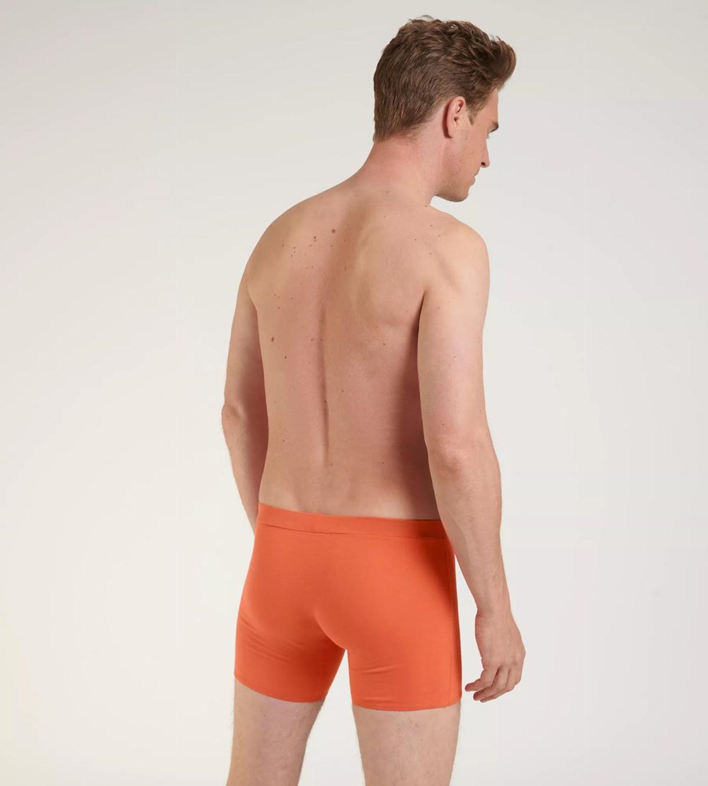 Sloggi Go Natural Shorts Orange - Dark Combination | 45029-XNGW