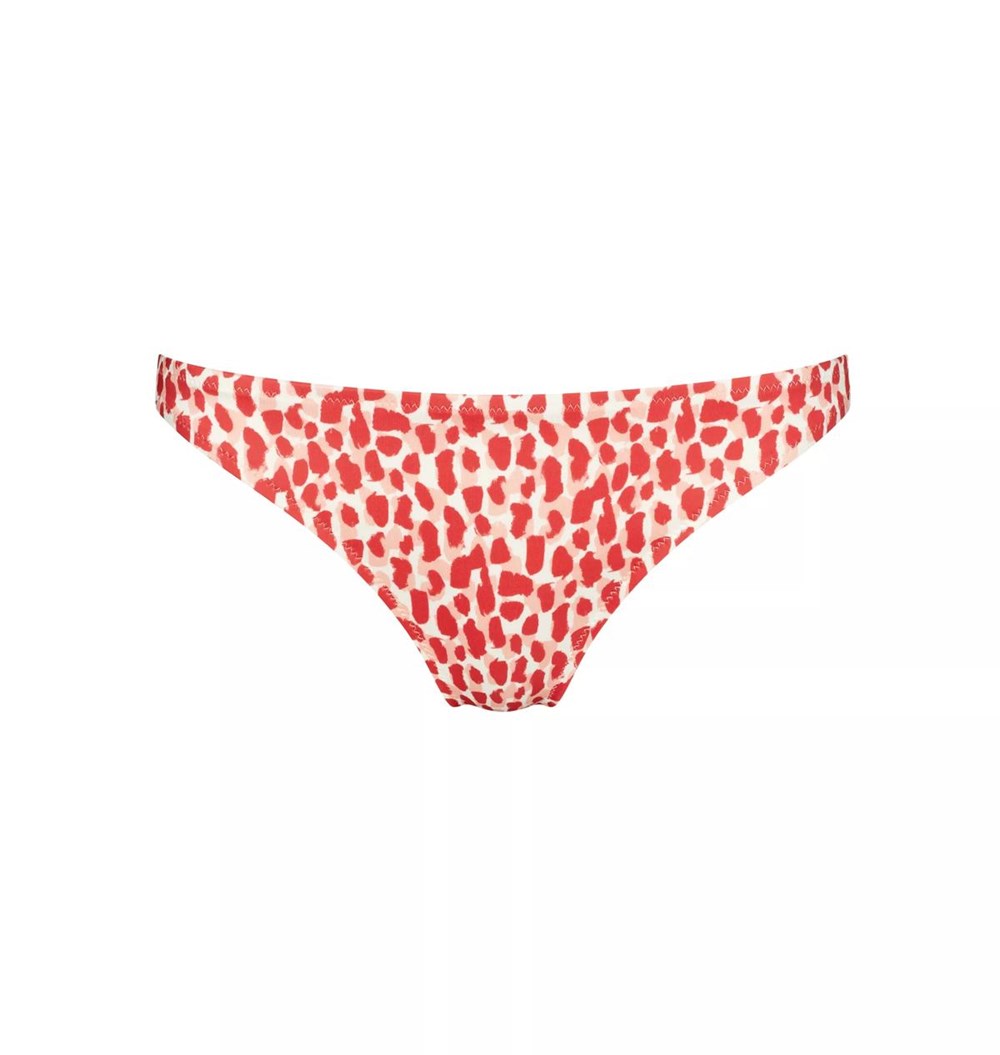 Sloggi Shore Koh Tachai Bikini Tanga Pink - Light Combination | 08346-ZSBQ